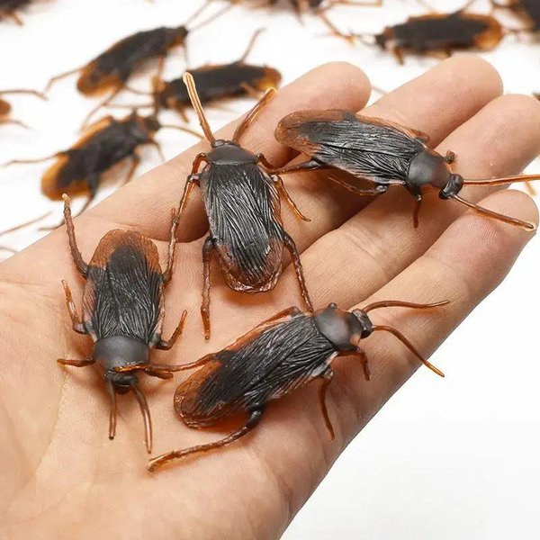 50/30/10/5 Sztuk Nowość Sztuczne Karaluchy Rekwizyty Do ŻArtóW Realistyczne Plastikowe Owady Zabawne Dekoracje Na Imprezę Halloweenową Symulacja PodstęPna Zabawka 5PCS-image