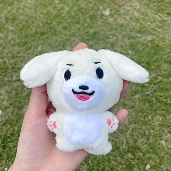 Kpop Pluszowa Jungwon Heeseung Jay Jake Sunghoon Pluszowe Zabawki Brelok Kawaii KreskóWkowy Wisiorek Akcesoria Torba Prezent Dla FanóW 0-10Cm-image