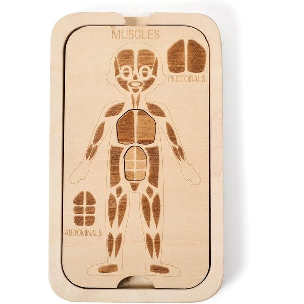 Drewniane Zabawki Montessori Dla Dzieci Puzzle CiałA Ludzkiego Zabawki Drewniane Puzzle Anatomii CzłOwieka Poznawczo Ludzki Zestaw Zabawek Do Anatomii Przedszkolnej Beige-image