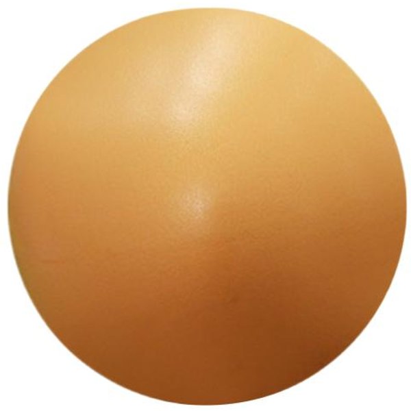 Mini Pelota De Pilates De 25 Cm Yoga Entrenamiento Del Core Fisioterapia Pelota De Ejercicio PequeñA Anti Estallido Antideslizante Pelota De Fitness Entrenamiento De Gimnasio En Casa Equipo De Pilates 25Cm-image