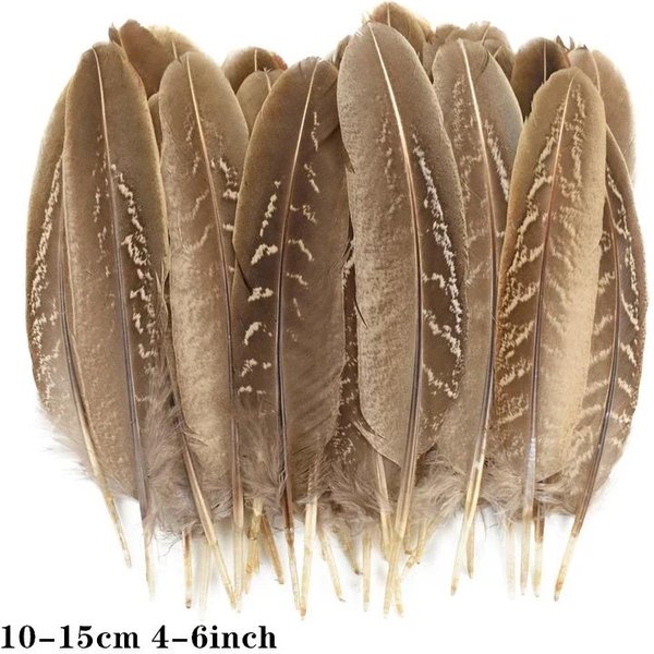 Naturalne PióRa BażAnta Do RęKodziełA 10-15Cm DIY PióRa ŁApacz SnóW Tworzenie BiżUterii Akcesoria RęKodzielnicze PióRa Dekoracja 10 Pcs Naturalny-image