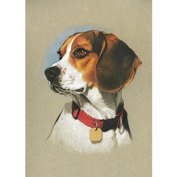 Cuadrado/Redondo DIY Bordado De Diamantes Perro Mascota Pintura De Diamante 5D DecoracióN De Mosaico De Diamantes De Agua Full Round (20X30CM)-image
