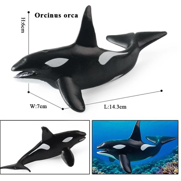 Oenux Animales Vida Marina Ballena DelfíN TiburóN Peregrino Narval Pez Tropical Modelo Figuras De AccióN PVC Juguete Educativo Regalo Para NiñOs-image