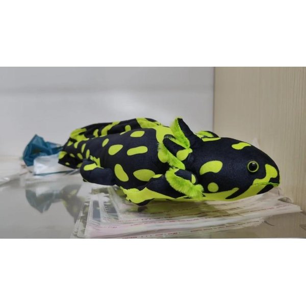 45Cm Kawaii Colorido TritóN Peluche Juguete Relleno Lindo Ajolote Salamandra Peluche Difuso Pez Apaciguador Almohada Larga CojíN Regalo Para NiñOs-image