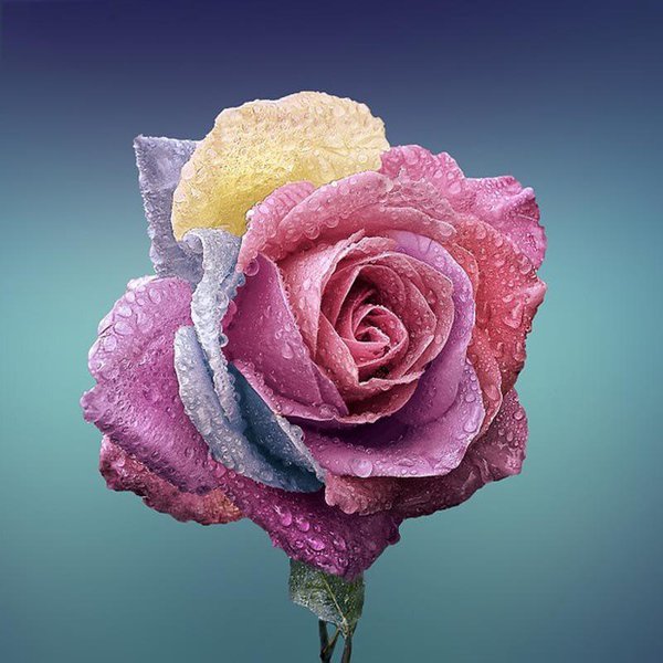 Pintura De Diamantes 5D DIY Rosa Colorida Bordado De Diamantes Mosaico Punto De Cruz DecoracióN De PedreríA 30X30Cm-image
