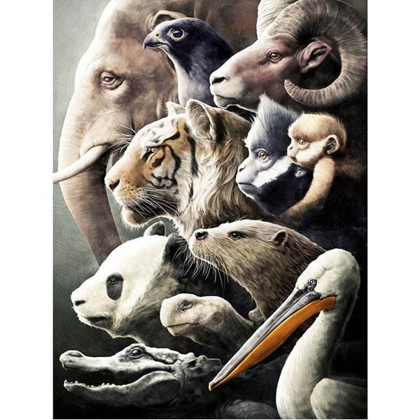 Pintura De Diamantes Artesanal Animal MovilizacióN Bordado De Diamantes Pintura Artesanal Animal Arte De Pared De Diamantes 20X30CM-image