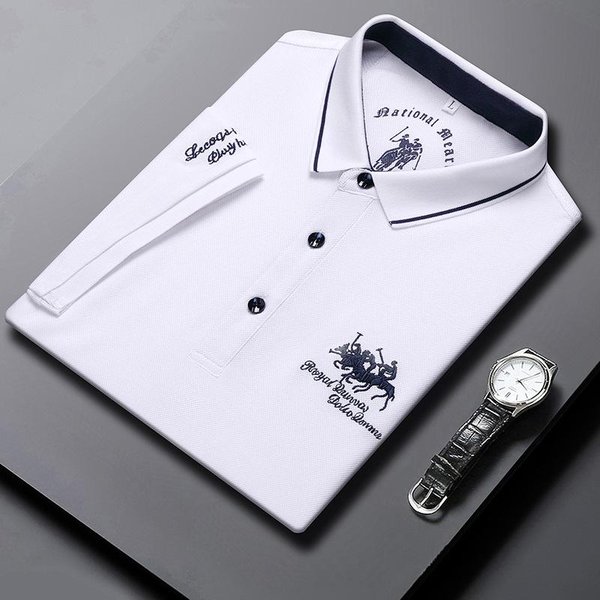 Camiseta De Manga Corta, Polo Para Hombre, Camiseta Sencilla, Camiseta Fina Bordada De Media Manga Con Solapa De Verano Para Hombre L Gray-image