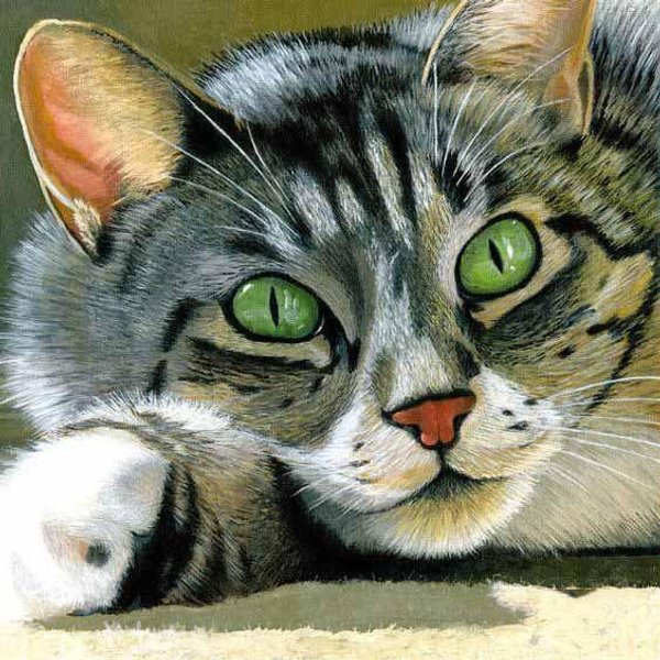 5D Diy Broderies Diamants Cat Cartoon Regalo Decorar Diamante Mosaico Pintura Completo Diamante Bordado 30X30-image