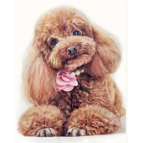 RęKodziełO Miś Pies 5D Diy Diament Malarstwo Cross Stitch ZwierząT Diament Haft Mozaika Kryształ Europejski WystróJ Domu 30X40CM-image