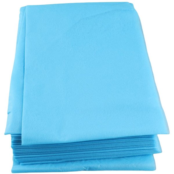 10 Piezas 180*80Cm No Tejido Desechable Impermeable SáBana De Cama Cubierta De Belleza Para Masaje Azul-image