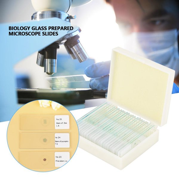 25 Piezas BiologíA Vidrio Preparado Portaobjetos De Microscopio EspecíMenes De Laboratorio Con Caja-image