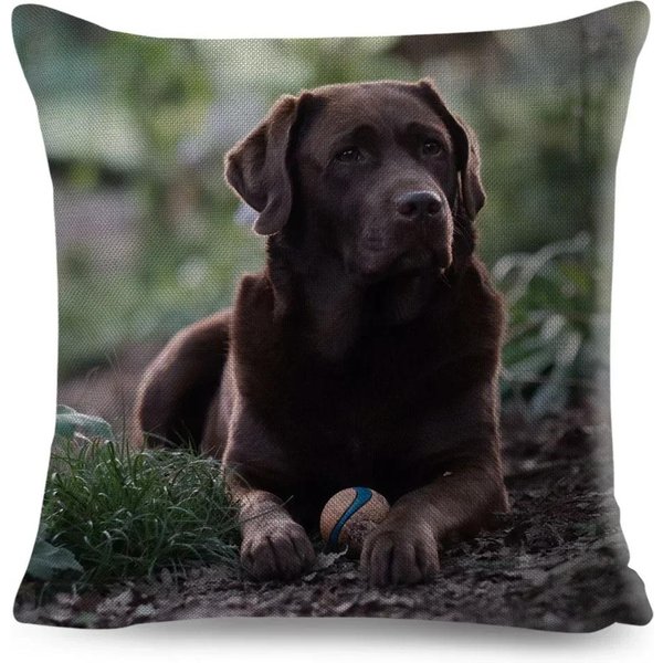 Uroczy Czarny Labrador Pies Dwustronnie Drukowana Poszewka Na Poduszkę KróTki Plusz Odpowiednia Do SalonóW Sypialni Sof Poduszka Dekoracyjna Poszewka 50X50Cm-image