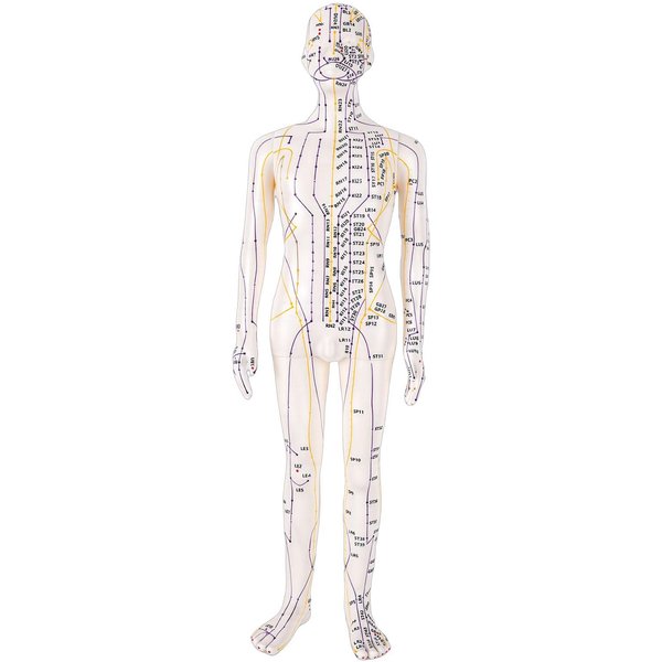 Modelo De Acupuntura De 20,5 Pulgadas Modelo Humano Preciso De Cuerpo Completo Con Puntos De Acupuntura Con Base Brazos Giratorios Para EnseñAr A Estudiantes-image