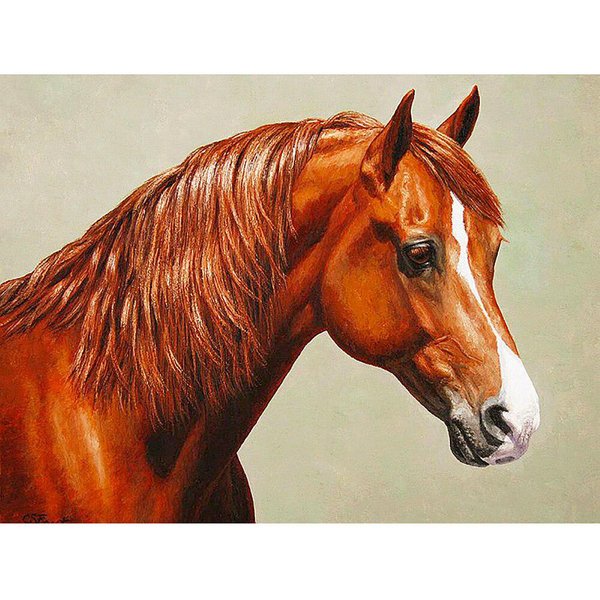 DIY 5D Pintura De Diamante Punto De Cruz Caballo Mosaico Diamante Bordado Costura 20X30CM-image