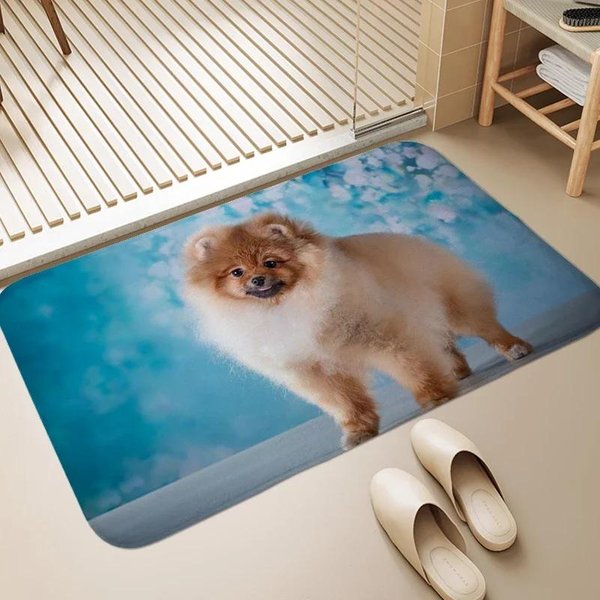Pies Pomorski Witaj WejśCie Mata Pod Drzwi WewnęTrzna ZewnęTrzna Mata PodłOgowa Zmywalny Dywan Do Sypialni Salonu AntypośLizgowy Dywanik Kuchenny 40X60Cm-image