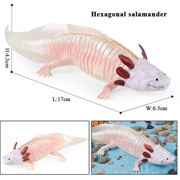 Oenux PłAzy Zwierzę Wodne Salamandra Nowy Salamander Cryptobranchoidea Model ZwierząT Figurka Akcji Edukacyjna Urocza Zabawka Dla Dzieci Prezent-image