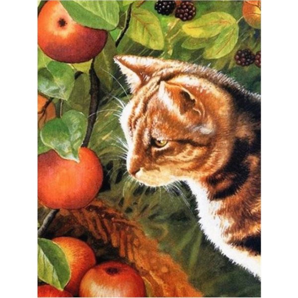 Pintura De Diamante Gato Manzana 5D Diy Diamante Bordado Animal Mosaico Imagen DecoracióN Del Hogar 20X30CM-image