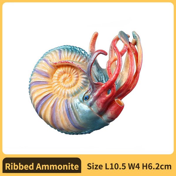 Figurka Amonita Nautilus Model Plastikowy Figurka - Zabawna Edukacyjna Zabawka Dla ChłOpcóW Dziewczynek I Dzieci W Wieku 18M+Nautilus-image