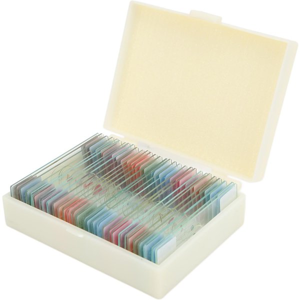 30 Piezas Portaobjetos De Microscopio Con Caja Transparentes BiologíA Juego De Portaobjetos Preparados Para Laboratorio-image