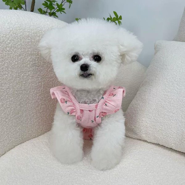 Ropa Para Perros Mascotas Primavera Verano Peto Oso Grande Teddy Yorkshire Schnauzer Perro PequeñO Chaleco Princesa Fino M-image