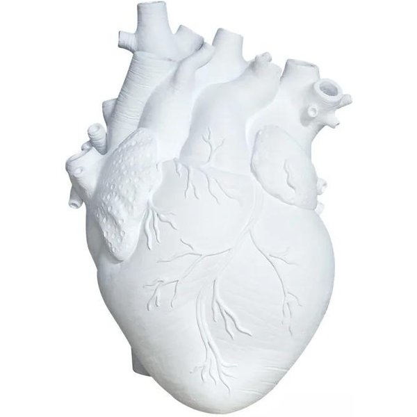 Czarny Anatomiczny Wazon W KształCie Serca Kreatywny Wazon SymulująCy Serce ŻYwica Dekoracyjny 4 Kolory Doniczka W KształCie Serca Naczynie Na Kwiaty Domowy Dekor-image