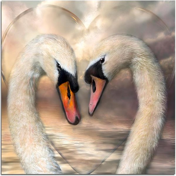 Pintura De Diamantes 5D DIY Pareja Cisnes PedreríA Imagen Bordado De Diamantes 30X30Cm-image