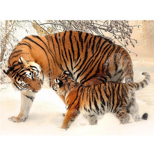 Pintura De Diamantes Animales Tigre 5D Bordado De Diamantes Mosaico De Diamantes Completo Imagen De PedreríA 20X30CM-image