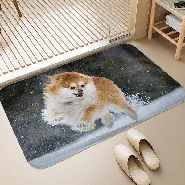 Pies Pomorski Witaj WejśCie Mata Pod Drzwi WewnęTrzna ZewnęTrzna Mata PodłOgowa Zmywalny Dywan Do Sypialni Salonu AntypośLizgowy Dywanik Kuchenny 40X60Cm-image