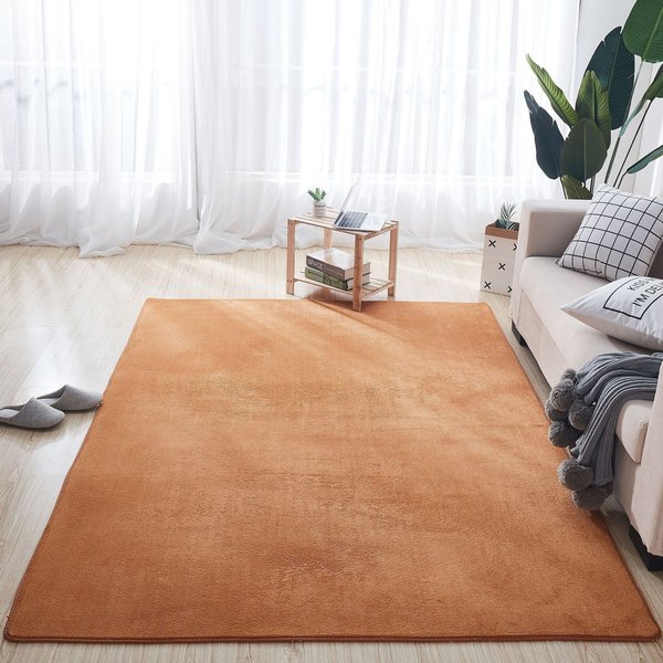Gruba Mata PodłOgowa Z Aksamitu Koralowego Mata Pod Drzwi Drzwi WejśCiowe Salon Sypialnia ŁAzienka Toaleta Kuchnia ChłOnna Mata Pod Stopy 50 * 80Cm-image
