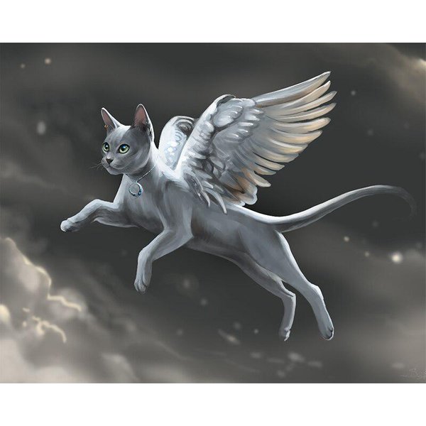 DIY 5D Diamante Pintura Animal áNgel Gato Punto De Cruz Bordado De Diamantes 20X30CM-image