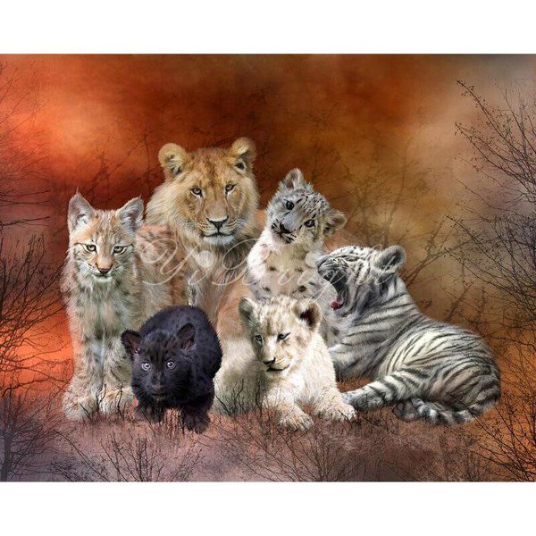 Pintura De Diamantes Redonda Completa Animal Bordado De Diamantes Venta Tigres Diamantes De ImitacióN ImáGenes Diamante 20X30CM-image