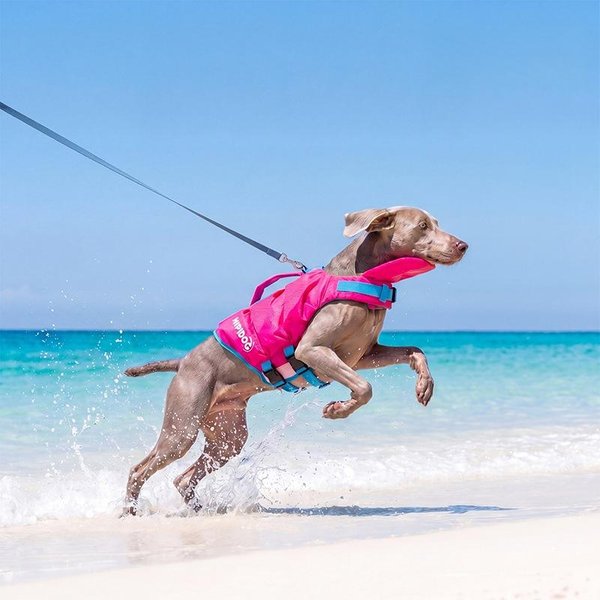Chaleco Salvavidas Para Perro NatacióN Fuerte Flotabilidad Traje De BañO Para Mascota Verano Seguridad Chaleco Salvavidas Para Dachshund Chihuahua Teddy Ropa De Piscina Exterior (Rose Red,Xs) Rojo Rosa-image