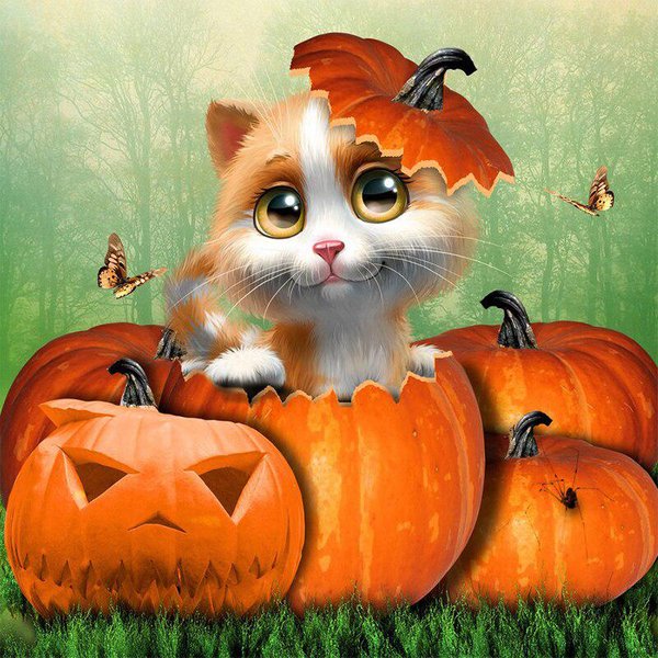 Pintura De Diamantes 5D DIY Dibujo Animado Calabaza Gato PatróN De Mosaico De PedreríA Bordado De Diamantes 30X30Cm-image