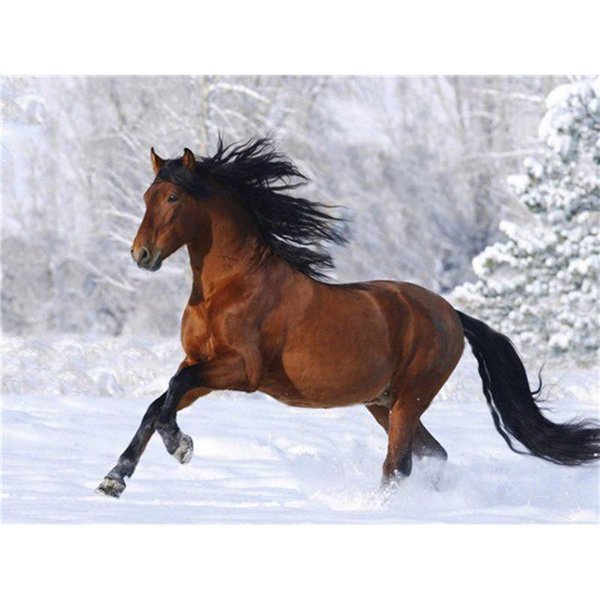 Pintura Diamante 5D Caballo Animal Invierno Nieve Taladro Redondo Completo Punto De Cruz Bordado Diamante 20X30CM-image