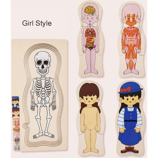 Montessori Drewniane Wielowarstwowe Puzzle Struktura CiałA CzłOwieka Gra Jigsaw ChłOpcy Dziewczynki Wczesne Zabawki Edukacyjne Dla Dzieci Beige-image