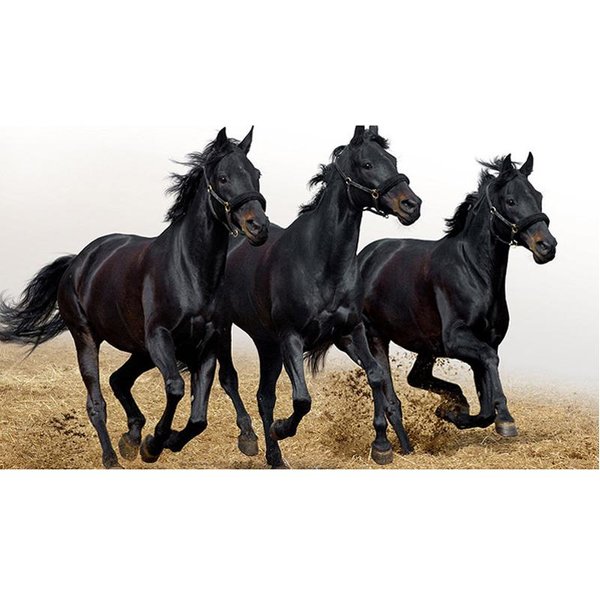 Caballo Oscuro 5D Pintura Artesanal De Diamante Diy Bordado De Diamantes Kits De Diamantes Arte De La Pared DecoracióN 20X30CM-image