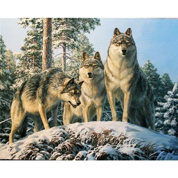 Pintura De Diamantes 5D DIY Pareja De Lobos Imagen De Animales De PedreríA Bordado De Diamantes 50X70CM-image