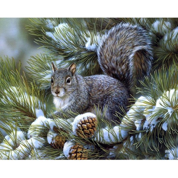 Diamentowe Hafty WiewióRki Jedzą Owoce śNieg Diamentowe Malowanie śCiegiem KrzyżYkowym Malowanie ZwierząT 20X30CM-image