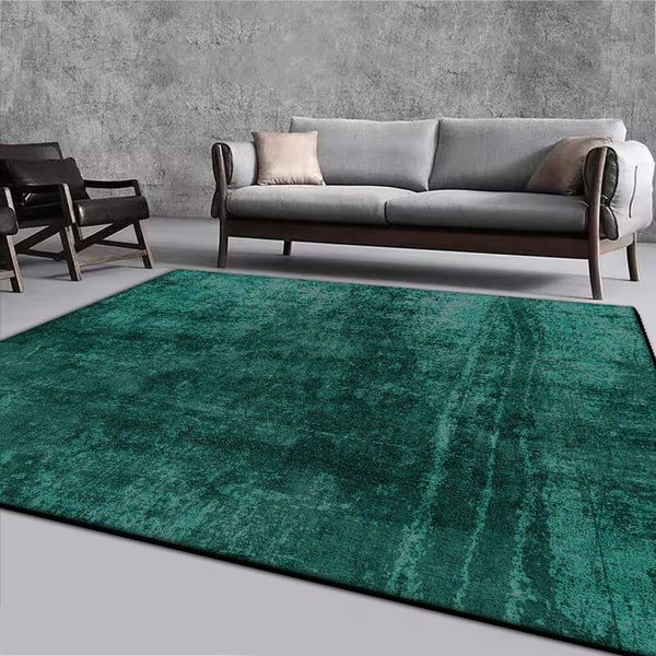 Nowoczesny Szary Dywan Dekoracyjny Do Salonu DużY Obszar MięKki Dywan Wypoczynkowy Nordic Proste Dywany Do Sypialni Zmywalna AntypośLizgowa Mata PodłOgowa 60*90Cm-image