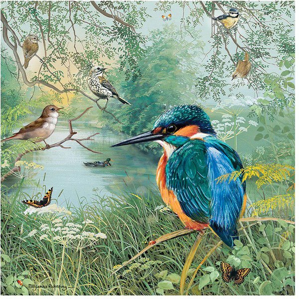 5D Diy Fantasy Diament Malarstwo ZwierzęTa Diament Haft Cross Stitch 20X30CM-image
