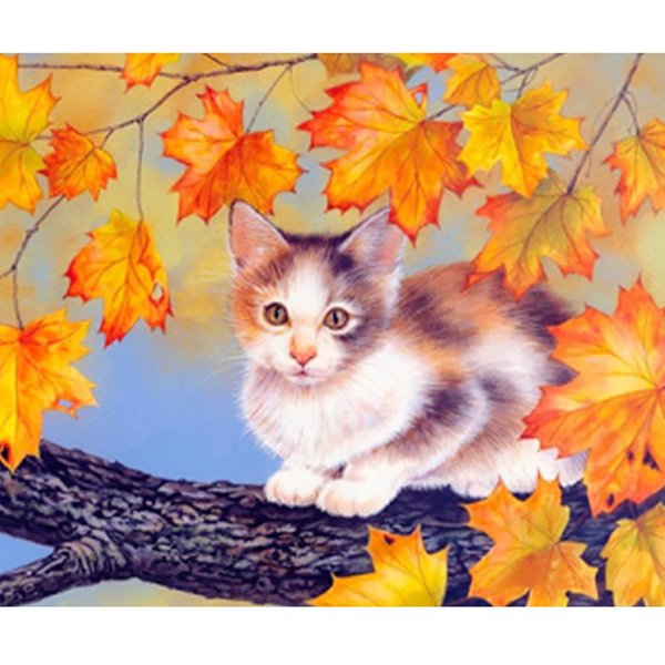Bordado De Diamantes Gatito Arce Pintura De Diamantes 5D Punto De Cruz Mosaico De Diamantes Manualidad 20X30CM-image