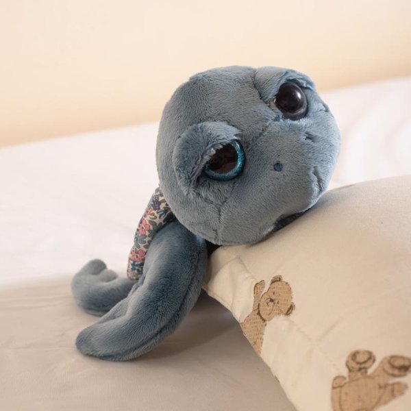 ŻółW Morski Z DużYmi Oczami Zepsuta Skorupa Kwiatowego ŻółWia Pluszowa Zabawka Uroczy ŻółW Wypchana Lalka Dekoracja Domu Dziecko Dziecko Prezent Urodzinowy 24CM-image