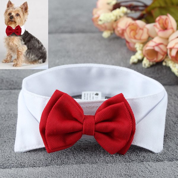 1PC Mascotas Cachorros Perros Gatos Ajustable Pajarita Collar Corbata Lazo DecoracióN Boda Festiva Accesorios De Aseo L Negro-image
