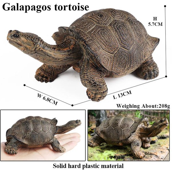 Oenux Animales De Vida Marina Modelo Tortuga LaúD Ciclo De Crecimiento Figuras OceáNicas Figuras De AccióN PVC ColeccióN Juguete Para NiñOs Regalo-image