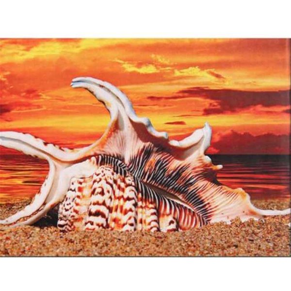 Pintura De Diamante Punto De Cruz Taladro Redondo Completo Concha De Mar Amarilla Bordado De Diamantes 20X30CM-image