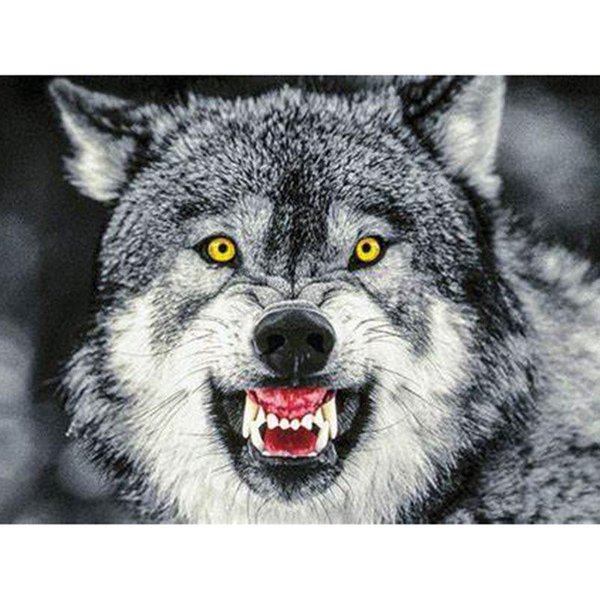 Bordado De Diamantes DIY Animal Lobo Punto De Cruz Mosaico Pintura De Diamantes DecoracióN Del Hogar Regalo 20X30CM-image