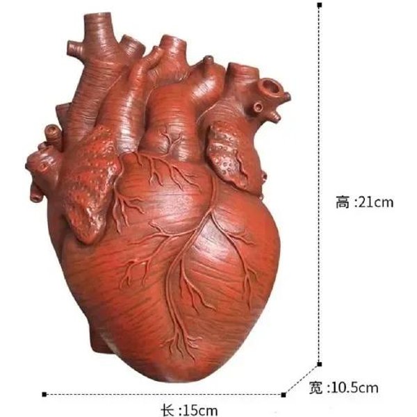 Wazon W KształCie Serca, Wazon W KształCie Suchego Garnka, Pojemnik Na Ludzką Figurę, Symulowana Anatomia, Wazon W KształCie Serca, Prezent Dekoracyjny, Prezent Na Walentynki-image