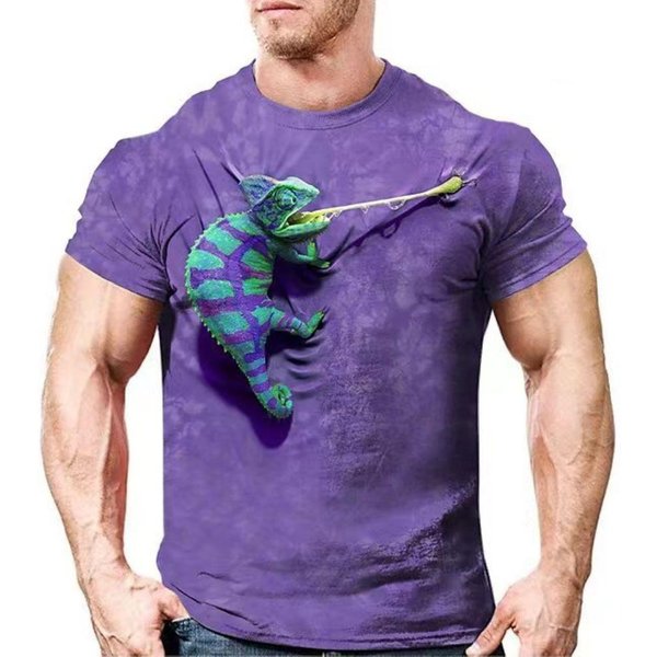Camisetas CamaleóN Animal Lagarto Estampado 3D Ropa Urbana Hombres Mujeres Moda Oversize Manga Corta Camiseta Camisetas Para NiñOs Tops Ropa L Blue-image
