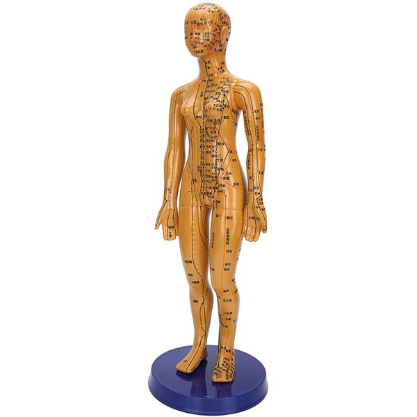 Modelo De Acupuntura Del Cuerpo Humano Femenino Masculino Color Cobre Meridianos Modelo De Puntos De Acupuntura Modelo Masculino Female-image