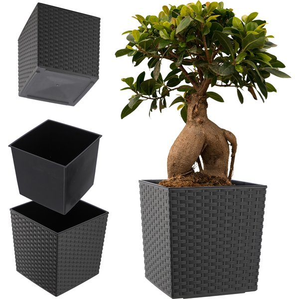 Donica na kwiaty z wkładem rattan 25 cm, grafit